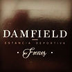 DAMFIELD - Jorge Scarpin Arquitecto
