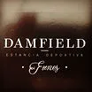 DAMFIELD - Jorge Scarpin Arquitecto